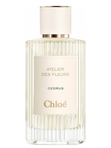 Atelier Des Fleurs Cedrus от Chloe