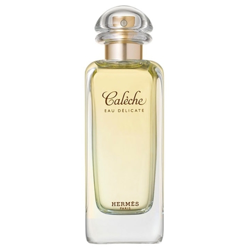 hermes caleche 