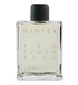 Ninfea
