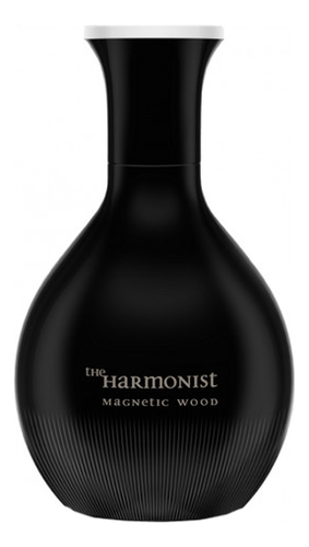 Magnetic Wood