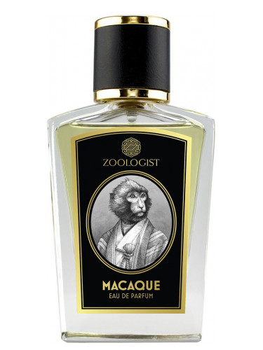 Macaque